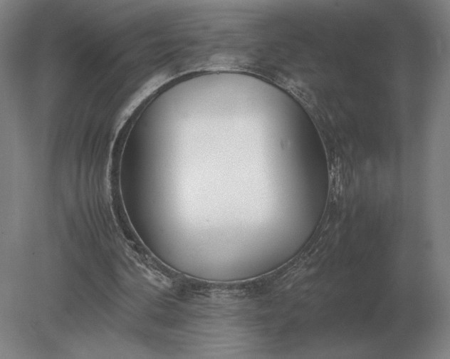 X0000079300292200612011757