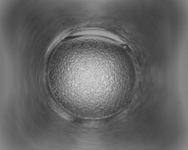 X0000079300293200612011757