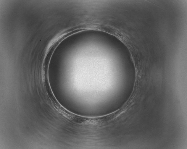 X0000079300294200612011757