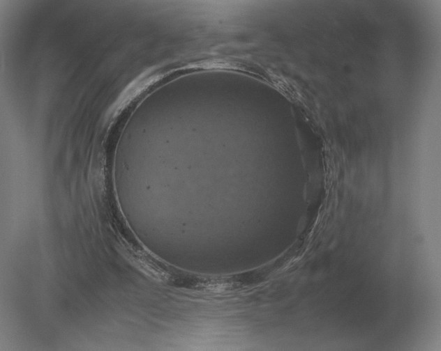 X0000079300295200612011757