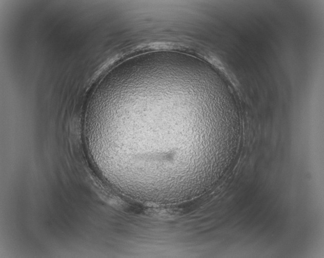 X0000079300297200612011757