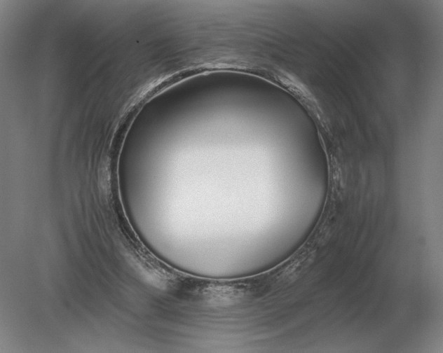 X0000079300298200612011757