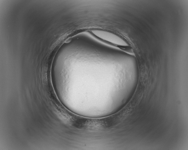 X0000079300299200612011757
