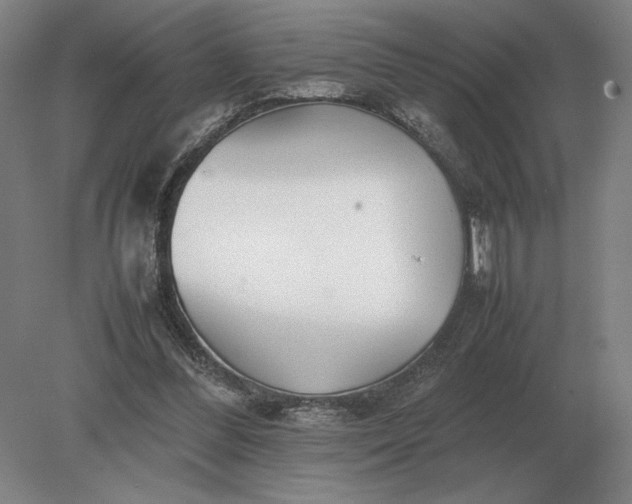 X0000079300300200612011757
