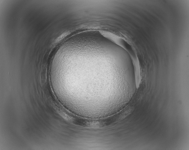 X0000079300301200612011757