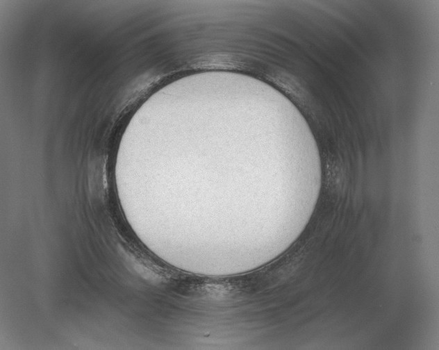 X0000079300302200612011757
