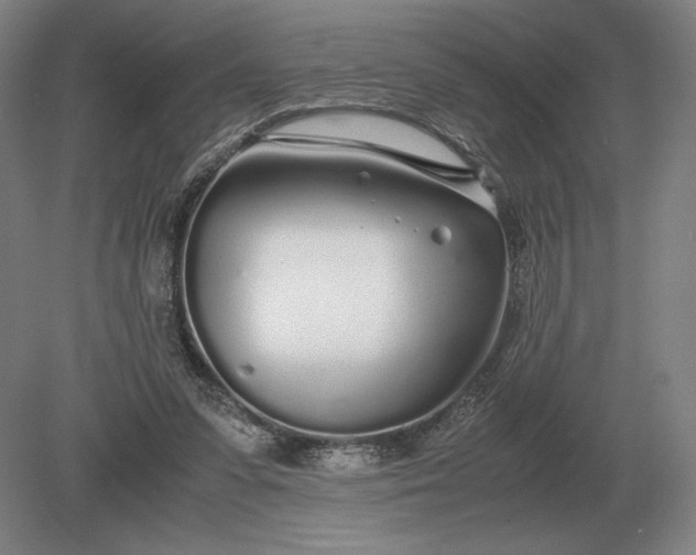 X0000079300303200612011757