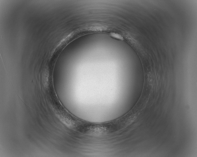 X0000079300304200612011756