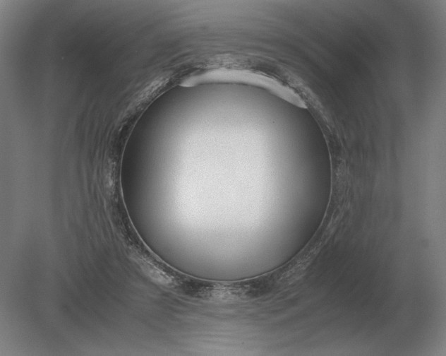 X0000079300305200612011756