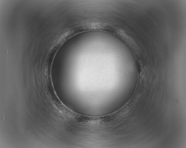 X0000079300306200612011756