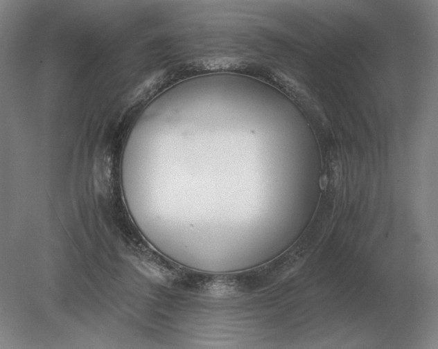 X0000079300308200612011756