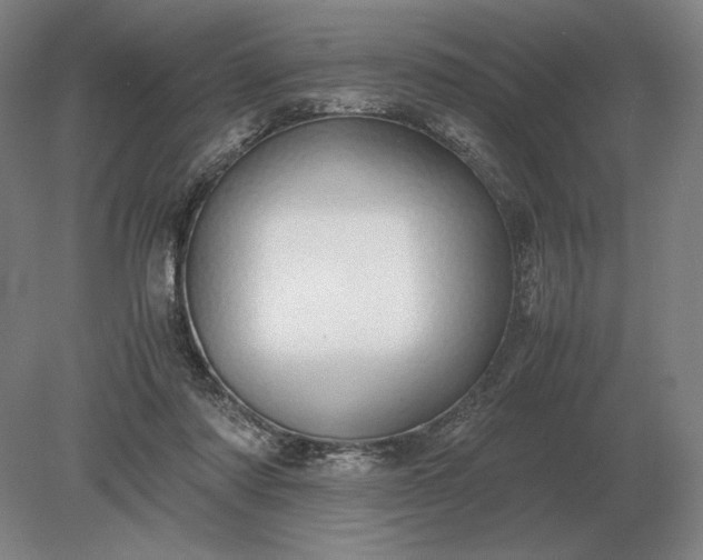 X0000079300310200612011756