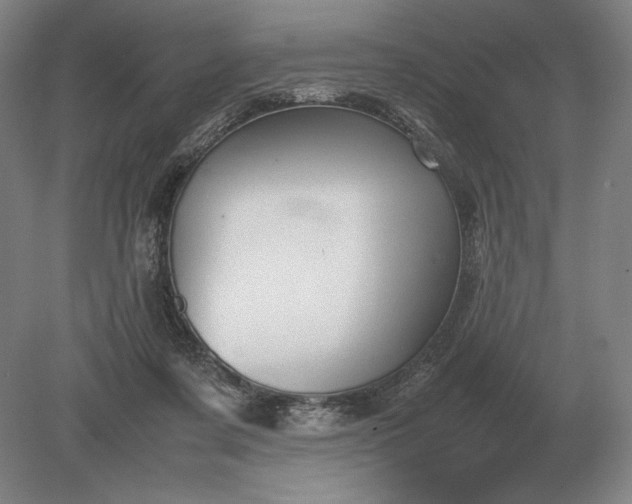 X0000079300311200612011756
