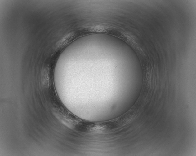 X0000079300312200612011756