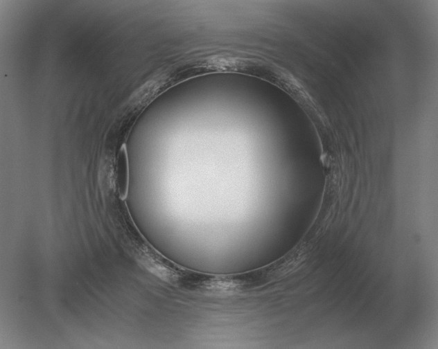 X0000079300313200612011756