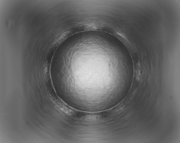 X0000079300314200612011756