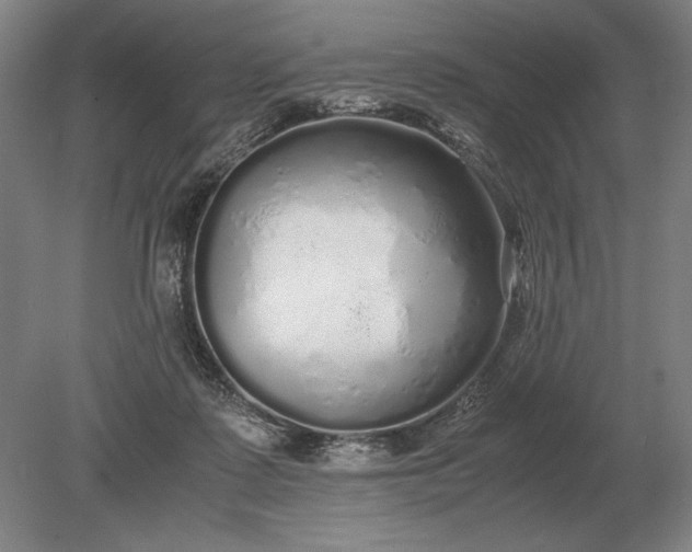 X0000079300315200612011756