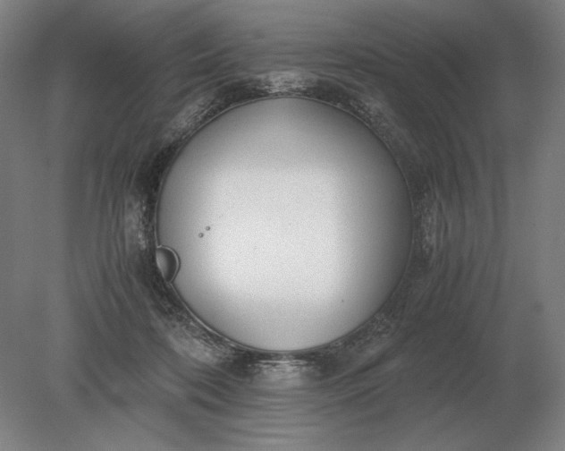 X0000079300316200612011756