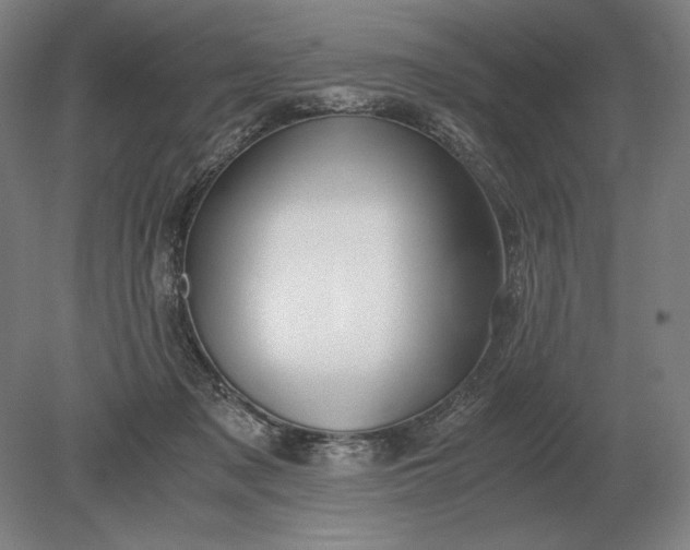 X0000079300317200612011756