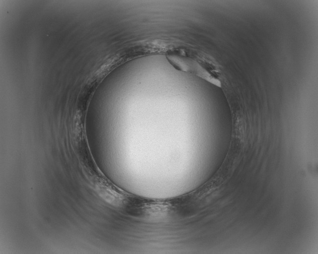 X0000079300318200612011756