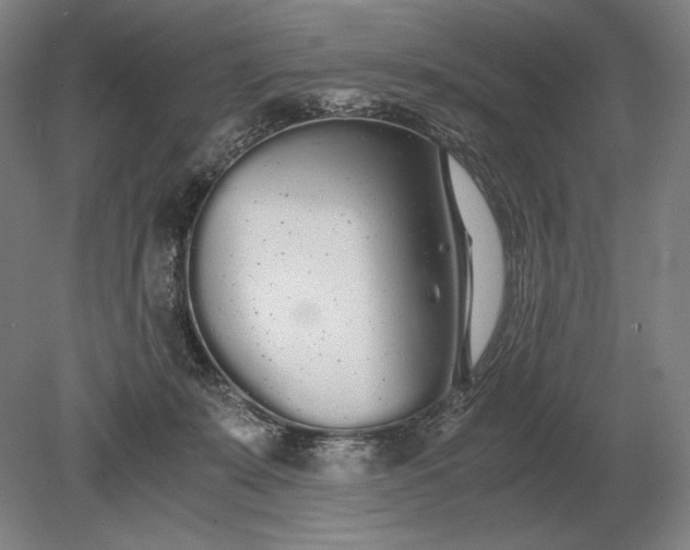X0000079300319200612011756
