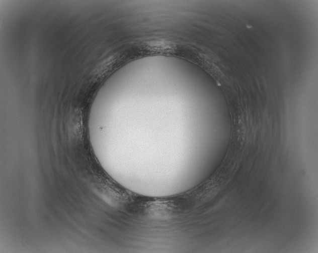 X0000079300320200612011756