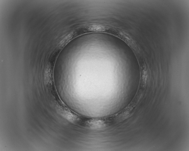 X0000079300322200612011756