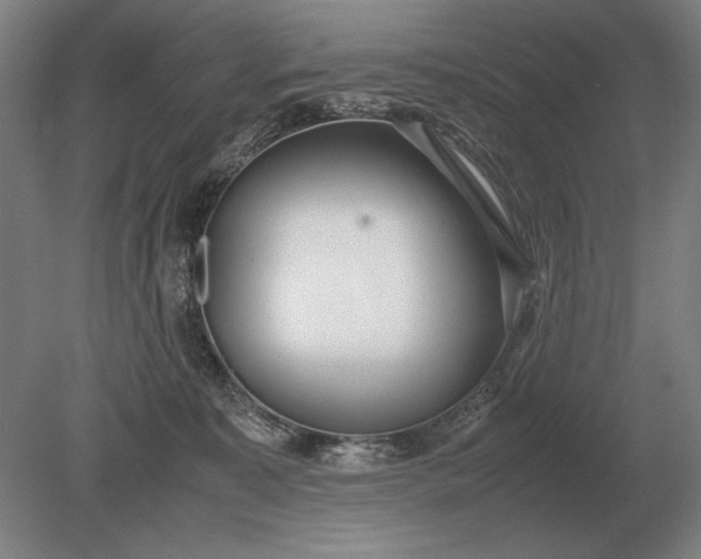 X0000079300323200612011756