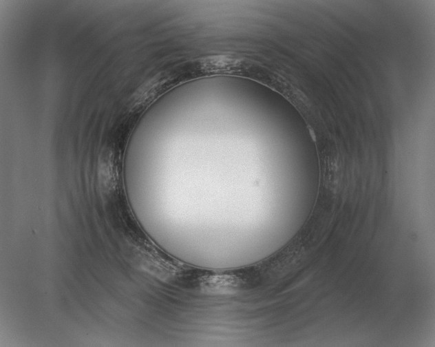 X0000079300324200612011756
