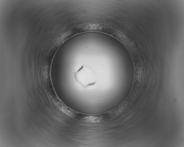 X0000079300326200612011756