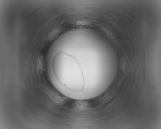 X0000079300328200612011756