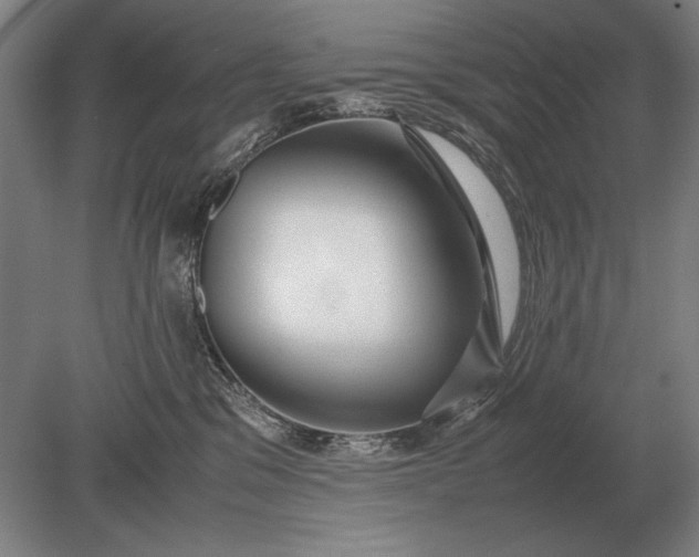 X0000079300329200612011756