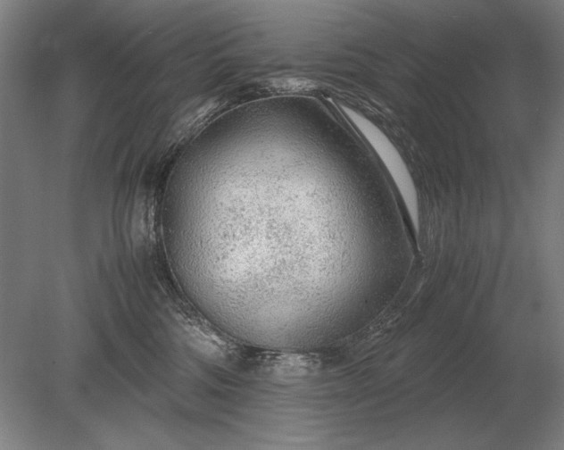 X0000079300330200612011756