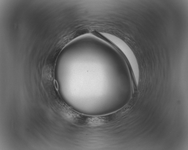 X0000079300331200612011756
