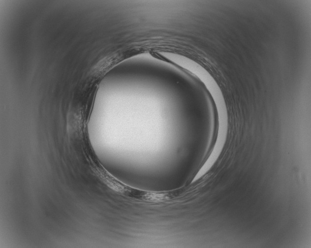 X0000079300333200612011756