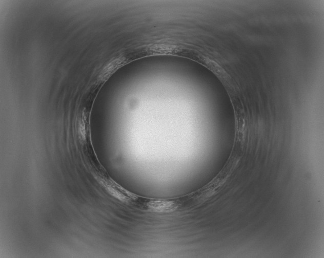 X0000079300334200612011756