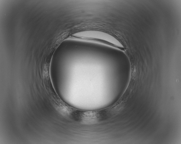 X0000079300335200612011756