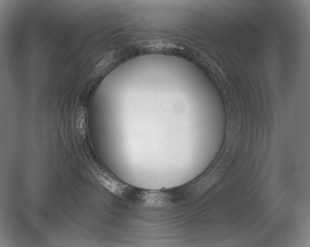 X0000079300336200612011756