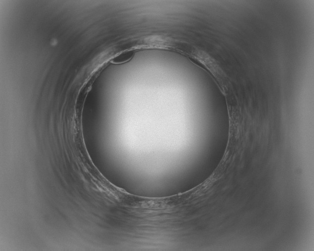 X0000079300338200612011755