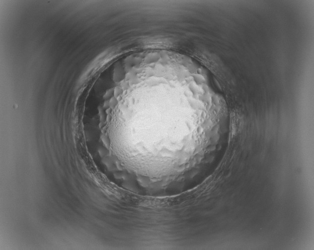 X0000079300339200612011755