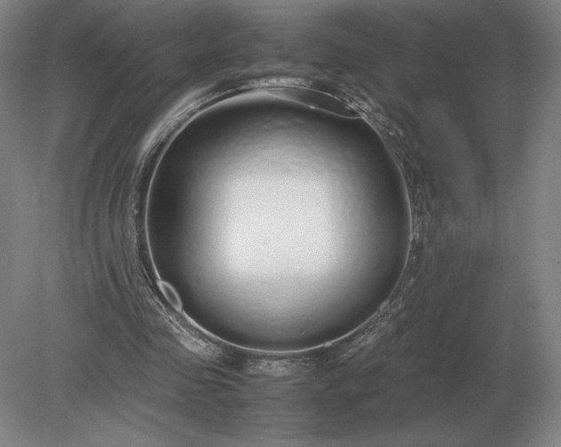 X0000079300341200612011755