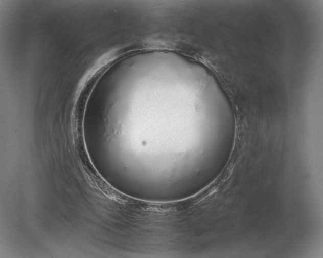 X0000079300343200612011755