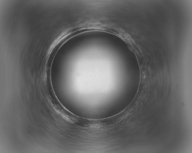 X0000079300344200612011755