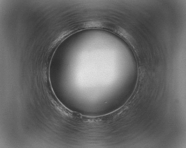 X0000079300345200612011755