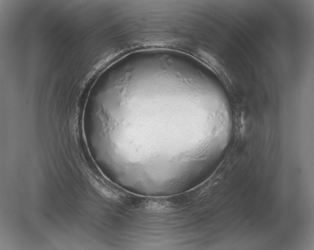 X0000079300346200612011755