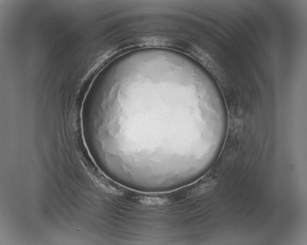 X0000079300347200612011755