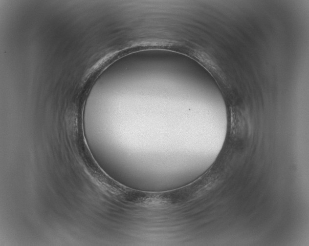 X0000079300348200612011755