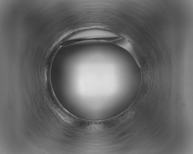 X0000079300350200612011755