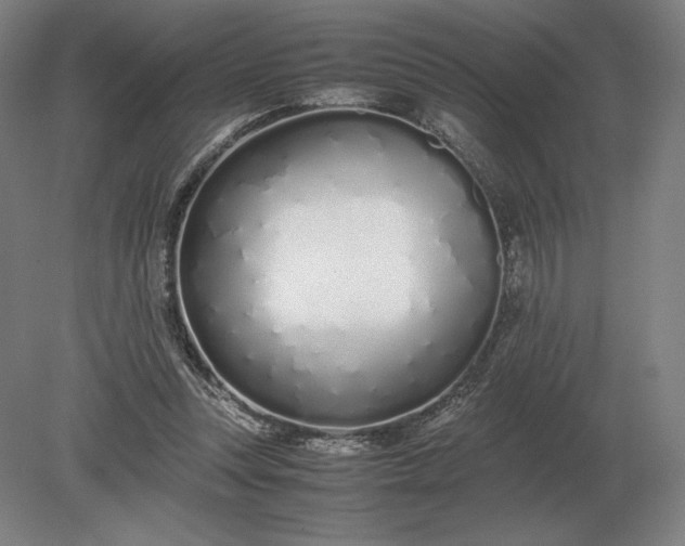 X0000079300351200612011755