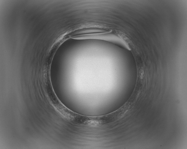 X0000079300352200612011755
